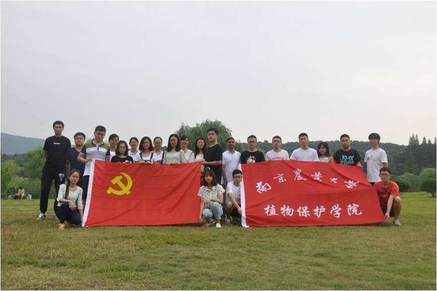 图片2